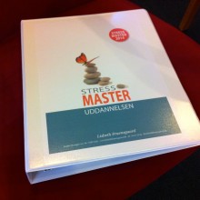 Stressmaster, Stresscoachuddannelse, Lisbeth Fruensgaard