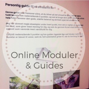 Kuren mod stress, stresshåndtering med stresscoach Lisbeth Fruensgaard, onlineforløb mod stress Kuren mod stress, stresshåndtering med stresscoach Lisbeth Fruensgaard, onlineforløb mod stress