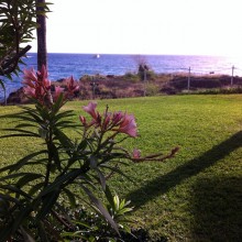 Magisk natur, Hawaii, stresscoach Lisbeth Fruensgaard