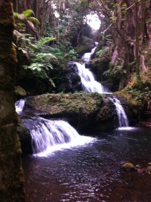 Magisk natur, Hawaii, stresscoach Lisbeth Fruensgaard