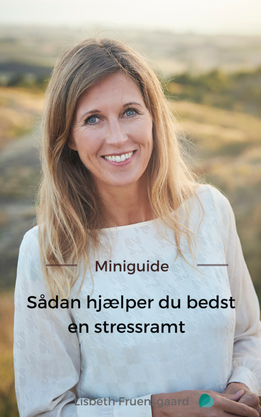 Miniguide, Sådan hjælper du bedst en stressramt, af stresscoach og forfatter Lisbeth Fruensgaard