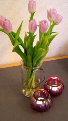 Stressmaster Uddannelsen, Certificeret stresscoach uddannelse i Vejle med stresscoach Lisbeth Fruensgaard