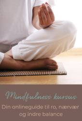 Online mindfulnesskursus med stresscoach og forfatter Lisbeth Fruensgaard