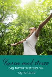 Kuren mod stress, onlinekursus med stresscoach og forfatter Lisbeth Fruensgaard