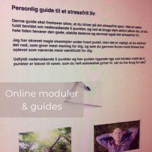 Kuren mod stress, onlinekursus med stresscoach og forfatter Lisbeth Fruensgaard Kuren mod stress, onlinekursus med stresscoach og forfatter Lisbeth Fruensgaard